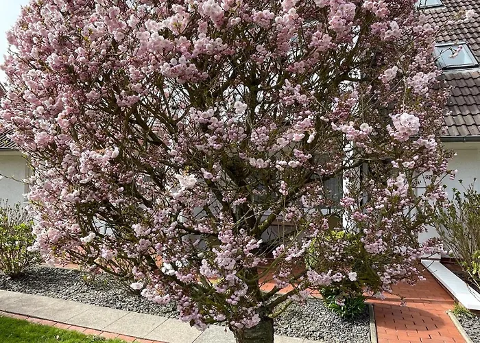 Feriengarten - B01 Apartment Büsum